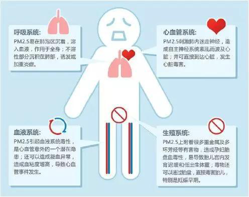 吸入雾霾的后果